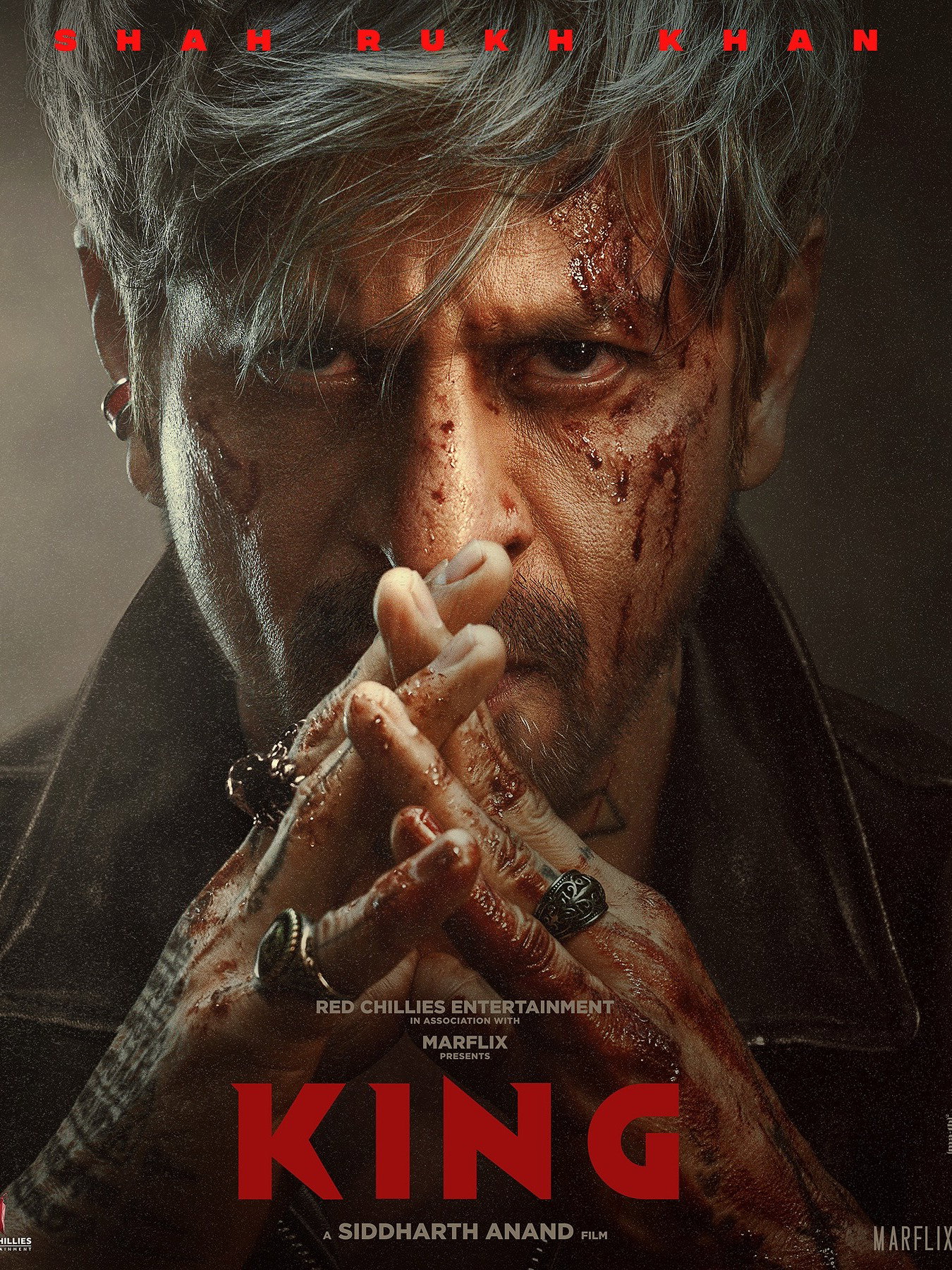 2026 की सबसे बड़ी बॉलीवुड फिल्में - Hindi News | 2026 की सबसे बड़ी बॉलीवुड फिल्में | Latest Photos at Lokmatnews.in